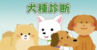 げん玉 診断特集2.jpg