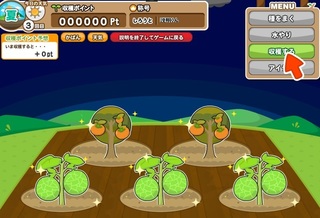 げん玉フルーツ農場2.jpg