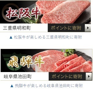 ふるさと納税 ふるなび ちょびリッチ.jpg