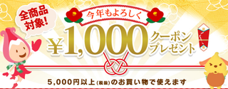 アイリスプラザ クーポン.png