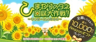 モッピー ひまわりの種 キャンペーン.jpg