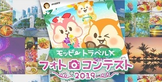 モッピー フォトコンテスト 2019.jpg