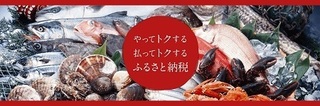 poney ふるさと納税1.jpg
